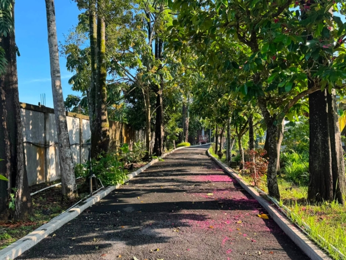 วัดธรรมเมตตา (Vihara Dhamma Metta Arama)